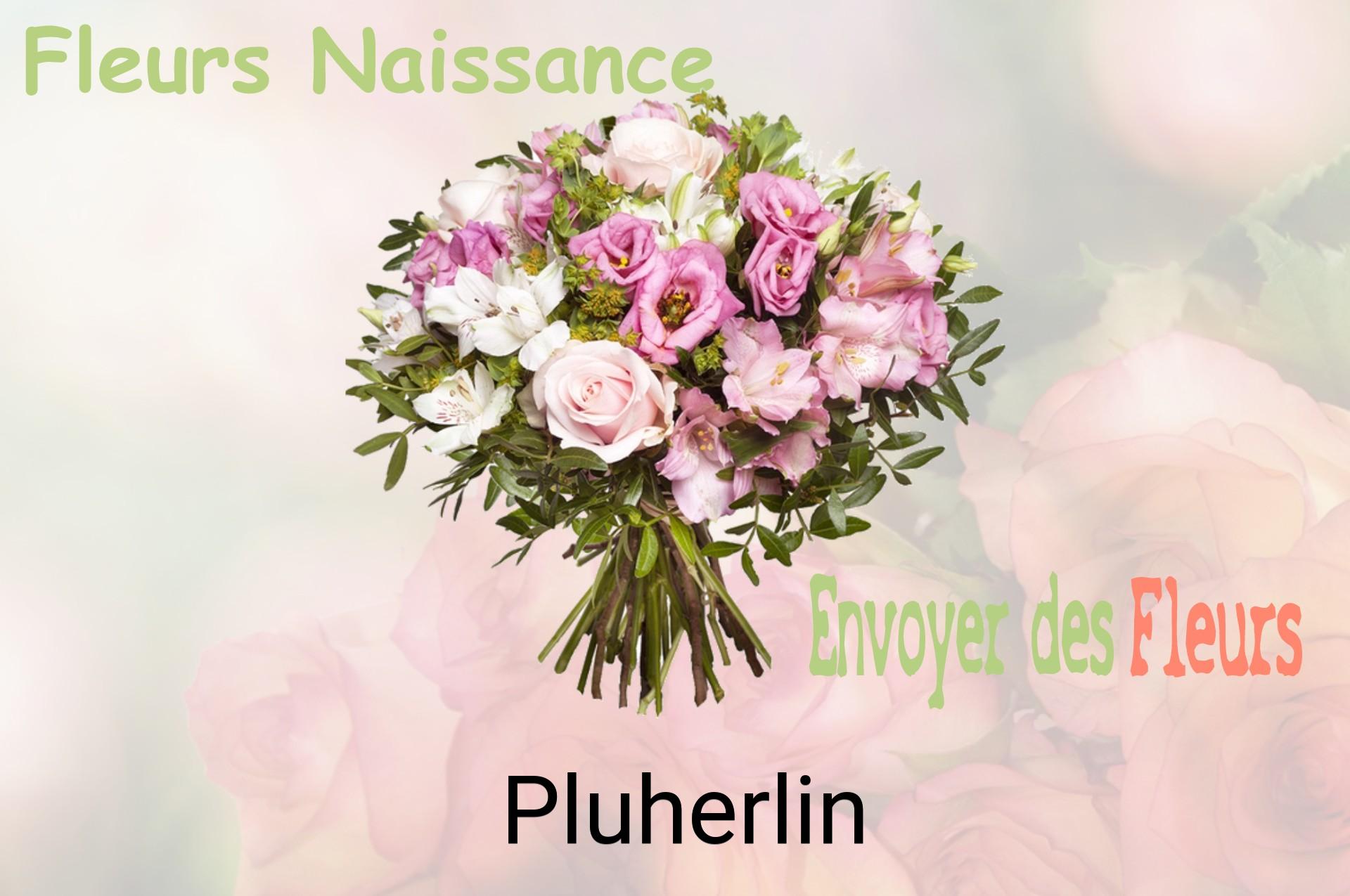 Bouquet de fleurs de naissance livré à Pluherlin